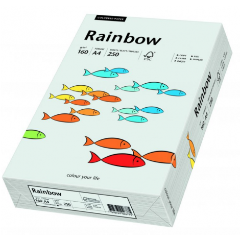 Papier ksero A4/250/160g Rainbow szary jasny